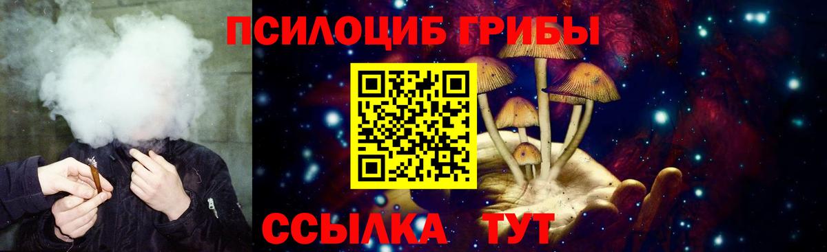 Кинель  Галлюциногенные грибы Magic Shrooms  Вход с VPN 